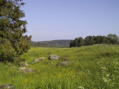 Karjalainen kulttuurimaisema v 2000
