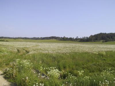 Karjalainen kulttuurimaisema v 2000
