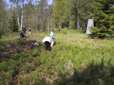 Sotahistoriaa Itä-Kannaksella 1-4.6.2001
Taipaleen kenttähautausmaa.
Talkoilla tehtiin Taipaleen kenttähautausmaan kiviaitaa.
