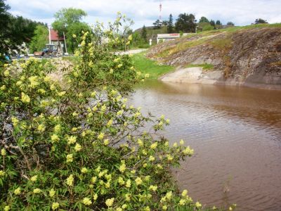 Kurkijoki
Avainsanat: Kurkijoki