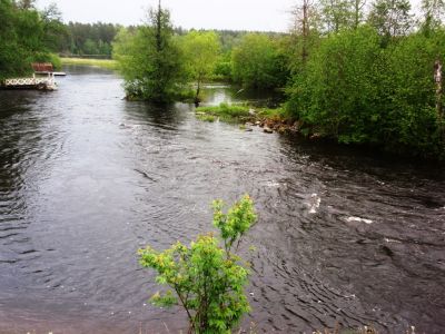 Räisälä
Avainsanat: Räisälä