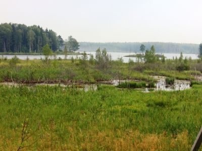 Ihantalan muistomerkin ympäristö
Avainsanat: Ihantala