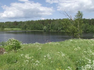 Ollajärvi
