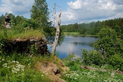 Isän kotitalon verannan paikka ja kovia kokenut rantakoivu
