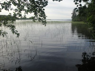 Pyhäjärvi
