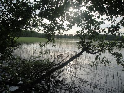 Pyhäjärvi
