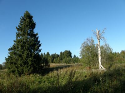 Muistomatka 70 v evakkoon lähdöstä.
Roope-Ukko lähti tästä paikasta evakkoon suurperheensä kanssa 70-vuotta sitten. 
