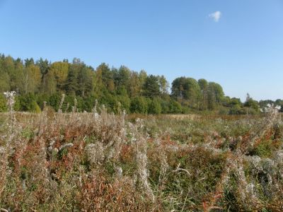 Muistomatka 70 v evakkoon lähdöstä.
Sylvi Rapon kotipaikka, Lumivaaran Kumolan Kojenryhmä, takana Linnanvuori
