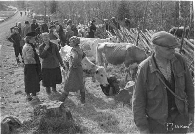 Talvisodan evakkoja, SA-kuva
Evakkojen paluu Koveroon (karjaa tarkastellaan)
Kovero
Avainsanat: Talvisota, evakko