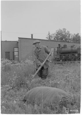 Jatkosodan karjanajoa/ SA-kuva
Muolaalaisisäntä niittää heinää karjalleen.
Urjala 1944.06.27
Avainsanat: Jatkosota, karja