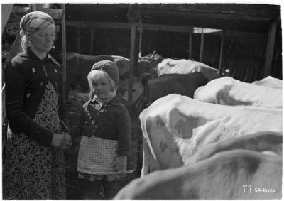 Jatkosodan karjanajoa/ SA-kuva
Evakkoäiti lapsineen lotjan ruumassa, jossa hän huolehtii poiskuljetettavasta karjasta.
Vuoksenniska 1944.06.23
Avainsanat: Jatkosota, karja