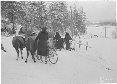 Talvisodan karjanajoa/ SA-kuva
Karjan evakointia Kannaksella.
1939.12.01
Avainsanat: Talvisota, karja