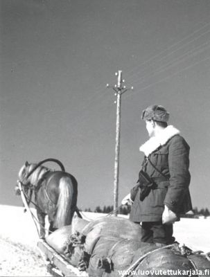 Valokuvaaja Pekka Kyytinen viemässä viljakuormaa evakkoon 1940.
