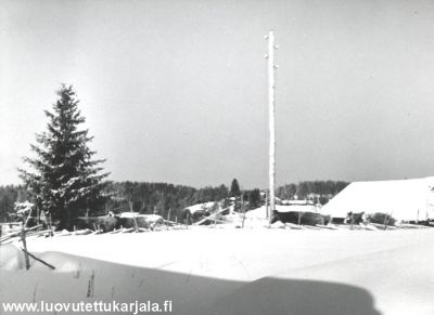 Kyytisen karja lähtee evakkoon talvisodan jälkeen 1940. Valokuvannut valokuvaaja Pekka Kyytinen. 
