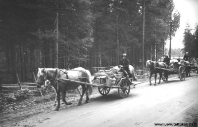 Edessä Mikko Poutanen (Kurkijoki), aisoissa Perho ja kaksi varsaa, keskellä taitaa olla Matti Kyytinen, takana Anni Kyytinen, evakko matkalla syksyllä 1944. Valokuvannut valokuvaaja Pekka Kyytinen. 
