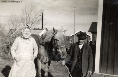 Pariskunta ja hevonen. Talom isäntä ja emäntä missä olimme Nauvossa evakoossa 1940.
