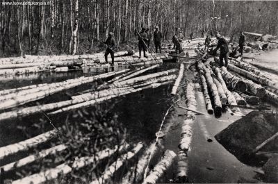 Tukinuittoa Kokkolanjoessa 1930-luvulla.
