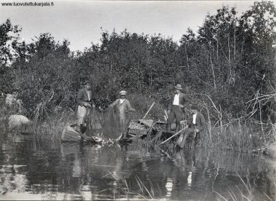 Harvanuotan nostoa Miklin Lauksaaressa (?). Kuvassa Mikko Parikan pojat, Jaakko, Emil, Arvi ja Jaakko Kasonen. Kuvannut Aarne Laakkonen.
