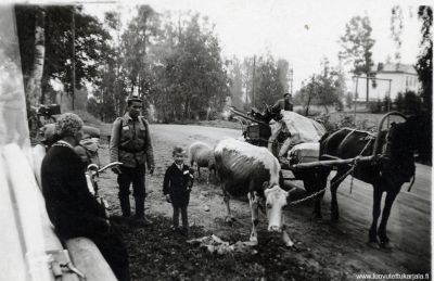 Evakuointia. (oletettavasti Jaakkimassa 1944/ SR). Kuvannut Aaro Punkari. 
