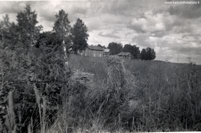 Kokonniemi 1943. Kuvannut Aaro Punkari.
