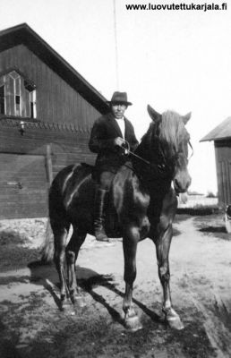 Käkisalmen kaupungin hevosmies Heikki Romppainen. Hevonen Virkku. Molemmat palokunnassa puolivakinaisia. n 1925-1930.  

