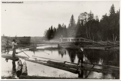 Kanneljärven Suurenjoen silta. Tukinuitossa Ville Nikkasen poikia.
