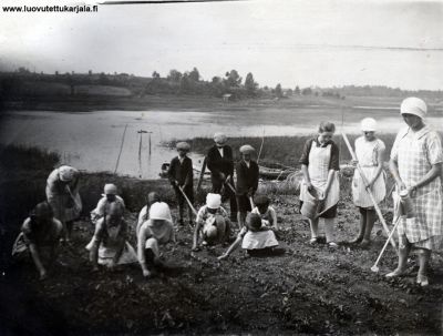 4-H kerholaiset juurikasvien harvennus kurssilla Kutilaisen talon rantapellolla 1932. kuvan oikeassa reunassa neuvoja Ida Korte os, Huuhka, joka oli syntyisin Kutilaisen talon tyttäriä. Kuvassa takana Kaukolan kirkkojärvi.
