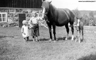 Kipinoisen veljekset vas. Pentti ja Erkki kotoisin Kuolemajärven pitäjän Hatlahden kylästä vuonna 1937. 
