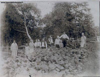 Tunnistan 2.vasemmalta äitini, Saimi Ovaska s.1920, 4.vasemmalta hänen äitinsä Edla Ovaska o.s. Kuntsi sylissään tätini Hellin Ovaska s.1924, hänen vieressään isoisäni Lauri Ovaska s.1890. Muita en tunne. Muistan äitini joskus puhuneen Kojoista...Etualalla lienee kessupelto. Kuva on ilmeisesti 1920- luvun lopusta.
