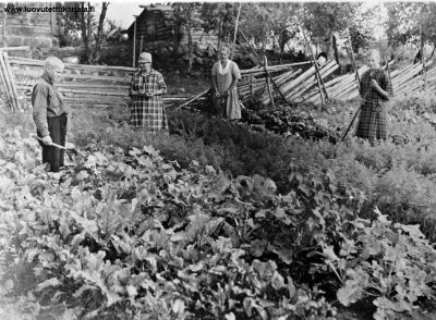 Marttojen puutarhatoimintaa 1922.
