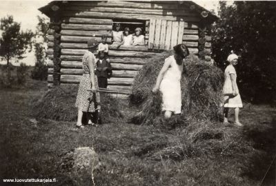Sipilaisillä heinän korjuta Sohvilassa. Taljan sisarukset sekä isäni Matti Hiiri tummissa vaatteissa.
