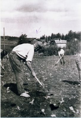 Rautu. Kuva otettu jatkosodan aikoina todennäköisesti Palkealassa kuvan ottajan oma kertoman mukaan Seppo Rapo.lle. Kuvaaja Urpo Mäntylä.
