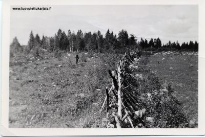 Vasemmalla kaskeamalla aikaaansaatu kaurahalme,Salmi Rajaselkä. 1938.
