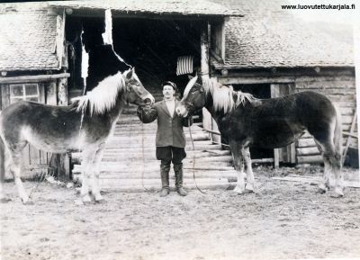 Antti Herrala, hevoset Siro juossut Salmissa raveissa kiertopalkinnon kolmella kerralla pooikki. Peli Siron varsa. Kuvattu 1935. 
