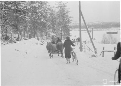 Talvisodan karjanajoa/ SA-kuva
Karjan evakointia Kannaksella.
1939.12.01
Avainsanat: Talvisota, karja