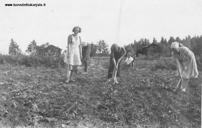 Antrea Jaakonsaari, jossa kuvan lähettäjän perhe vietti kesänsä. Kuvassa Jaakonsaaret ovat sokeriruokopelolla 1937-38. Henkilöt vasemmalta: Annikki (tytär), hänen takanaan isäntä Johannes, Mauno-poika ja emäntä Saara.  
