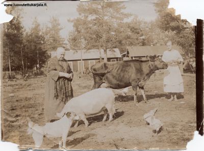 Vasemmalla Elina Kultanen palvelustyttönä Hämäläisielä Perkjärvellä n. 1926. Huomautus! Vai olisko oikealla? sr
